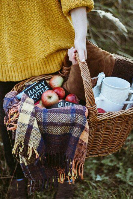 parizhski_picnic9