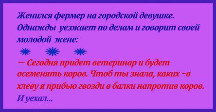 Подборка лучших шуток, которые скрасят ваш день!
